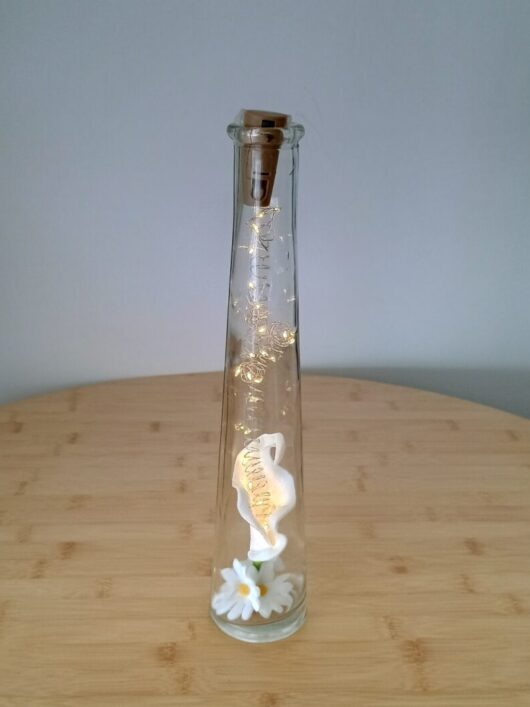 Vase lumineux